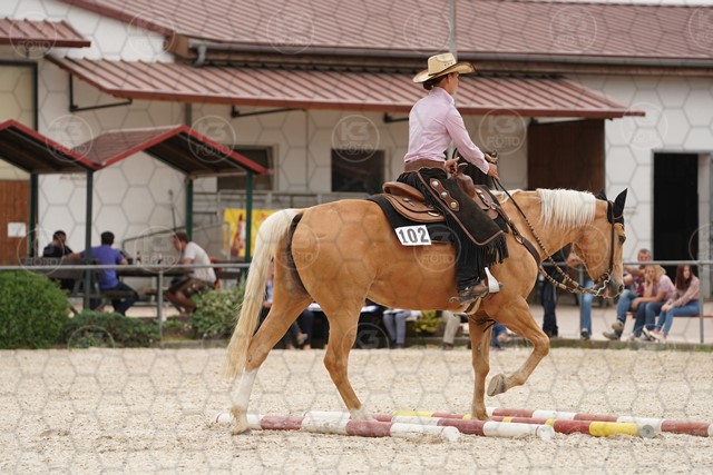 sA9K08767.JPG